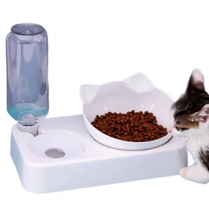 15° Tilted Cervical Protection Pet Bowl